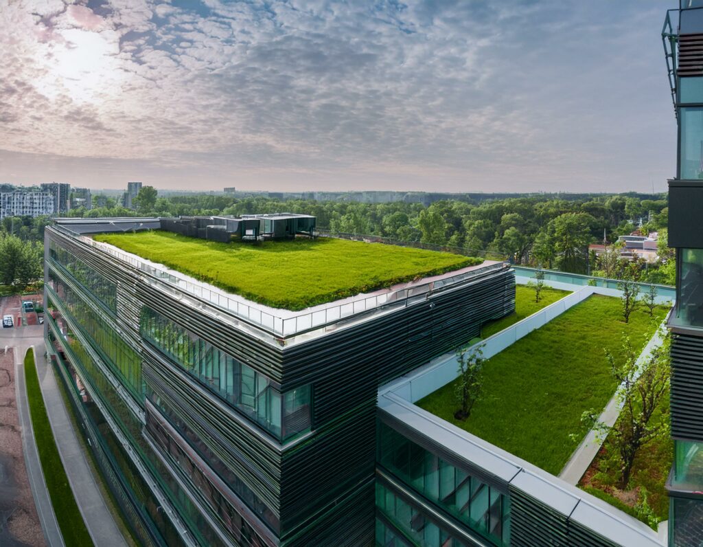 Toiture végétalisée d'un bâtiment professionnel